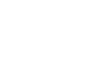 LES Management